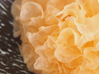 a close up photo of a snow mushroom extract